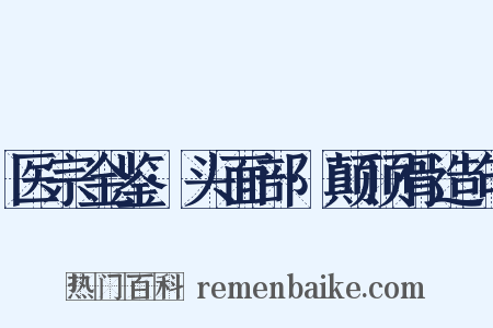 医宗金鉴·头面部·颠顶骨造句是什么意思的图片